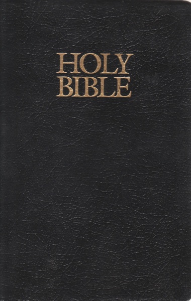 Bible cover
